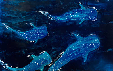 Gathering of the whale sharks | painting practice by DierLikesDoingArt