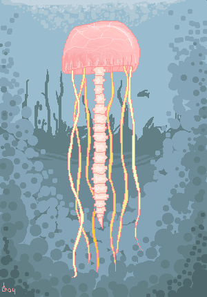 YOUSPINELESSJELLYFISH