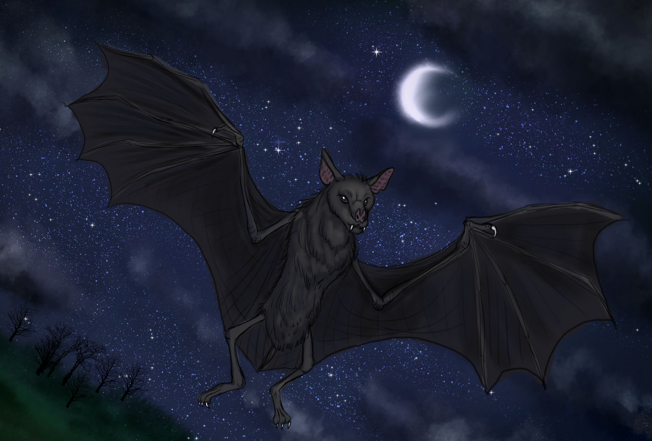 Bat by Lunarwolven on DeviantArt