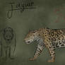 Jaguar