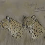 Cheetah Faces