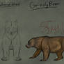 Grizzly Bear