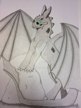 .:Toothless:.