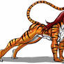 Tigra stretching