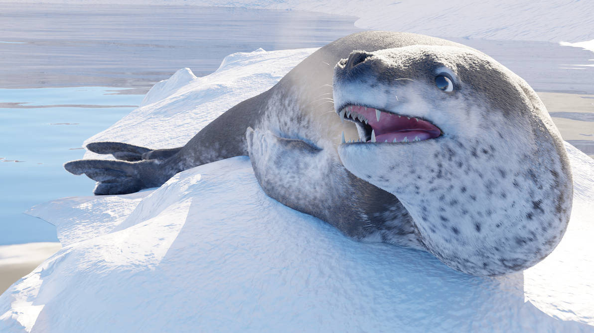 Leopard Seal 3D model by Frost3Dart on DeviantArt