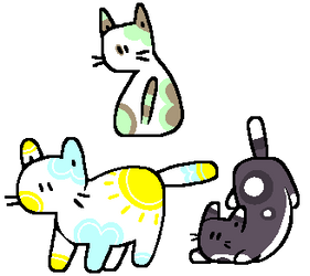 OPEN (1/3) 20 Point Cat Adopts