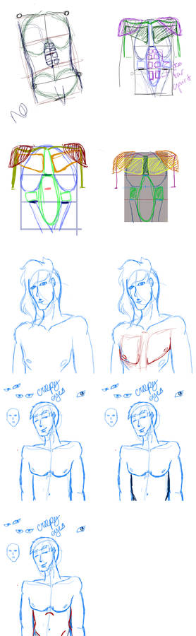 Anatomy Practice Compilation