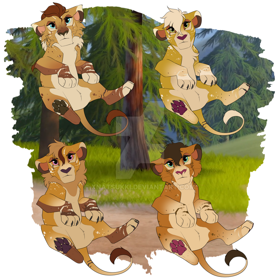 REDUCED 100PTS TLK Golden Cubs Adopt OPEN (2/4)