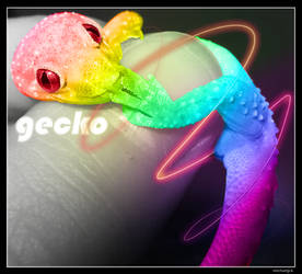 gecko spectrum