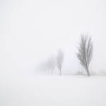 The fog's by anoxado