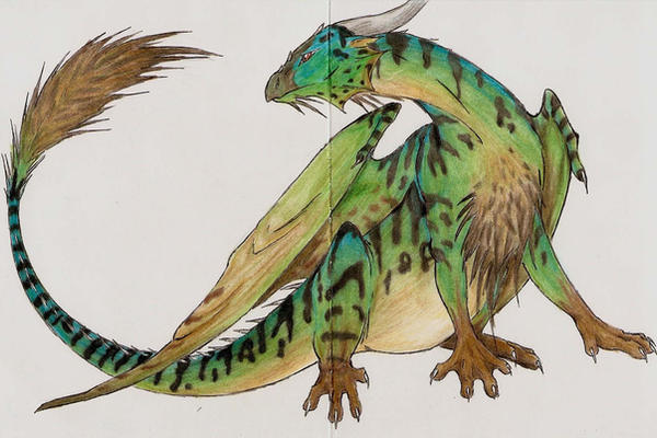 Forest Dragon Java Forestdragon_card by Quailkin on DeviantArt