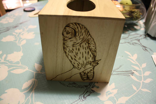 Woodburned Owl Tissue Box -WIP