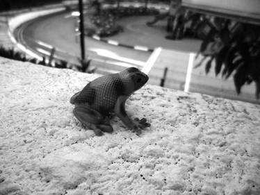 Froggy On My Windowsill - B+W