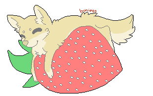 Shippy Loves Strawberries