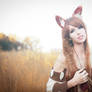 Spice and Wolf V