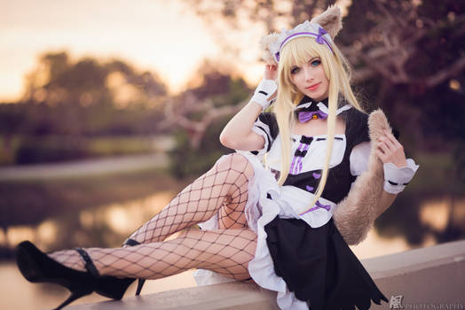 Neko Maid - Coconut