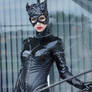 Catwoman IV