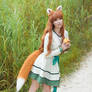 Spice and Wolf - Holo XVI