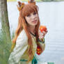 Spice and Wolf - Holo XVII