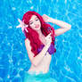 The Little Mermaid IV