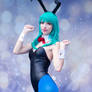 Bunny Bulma XIX