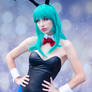 Bunny Bulma V