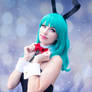 Bunny Bulma X