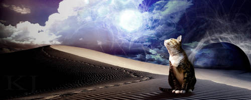 Kitty in space