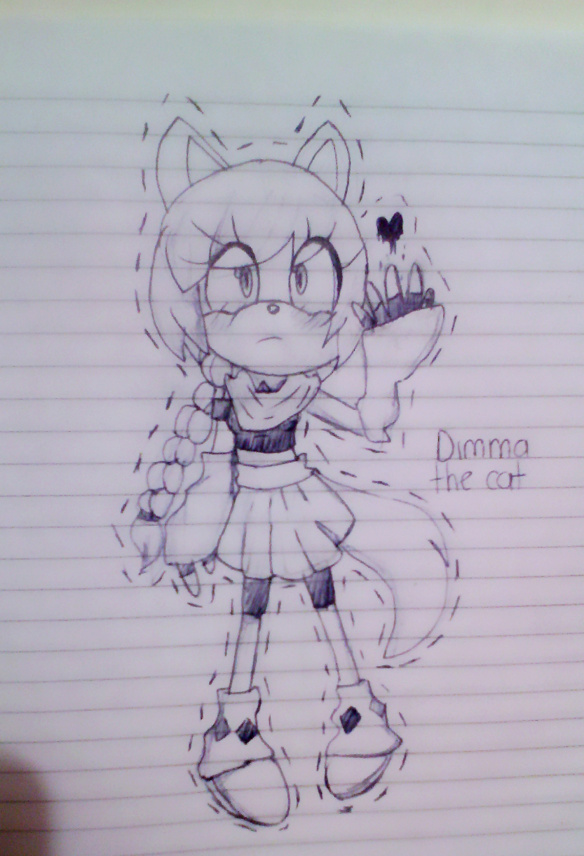 Dimma the cat
