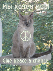 Give peace a chance.