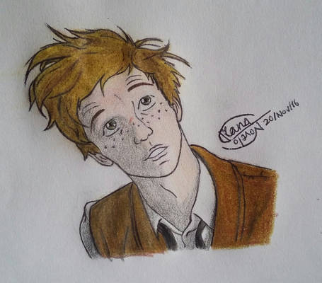 Newt Scamander