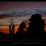 Sunset Volleyball