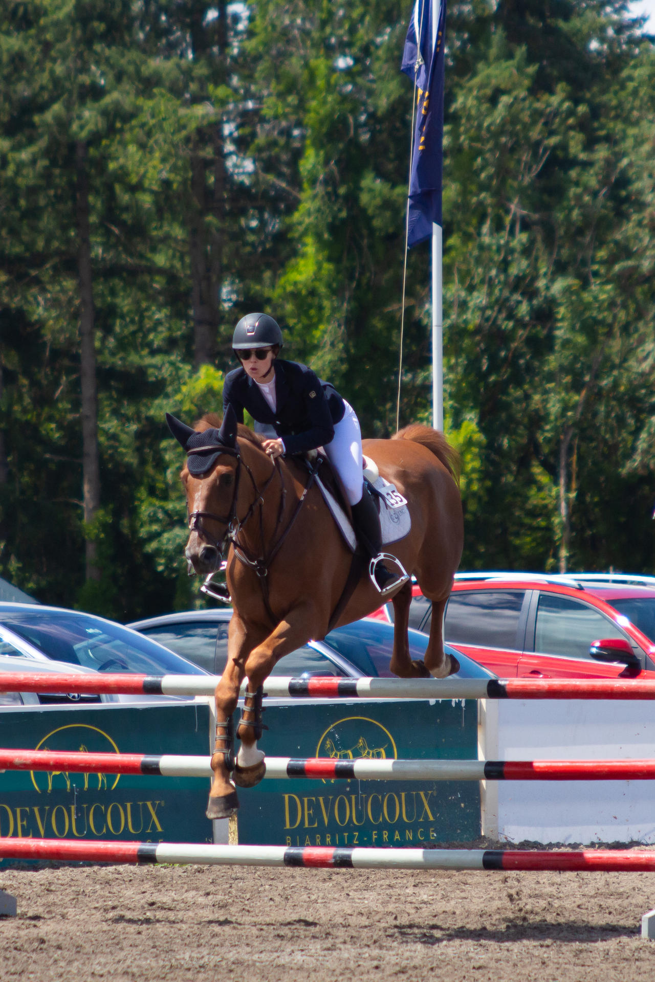 Chestnut Horse Jumping Stock by JNH-Equine on DeviantArt