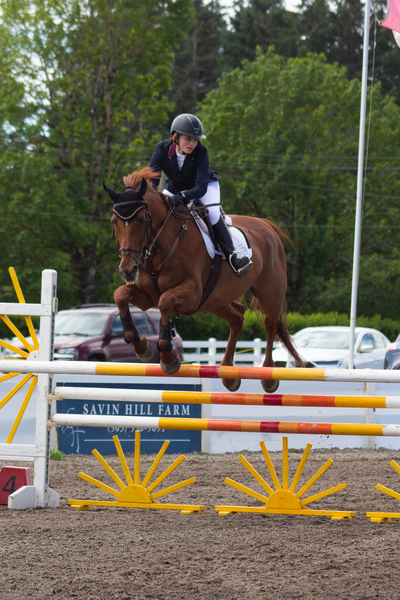 Chestnut Horse Jumping Stock by JNH-Equine on DeviantArt