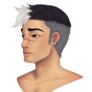 VLD: Shiro Portrait