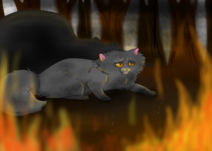 pix Yellowfang Death Scene yellowfangs death by xxfrostwhiskerxx