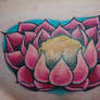 Lotus Flower