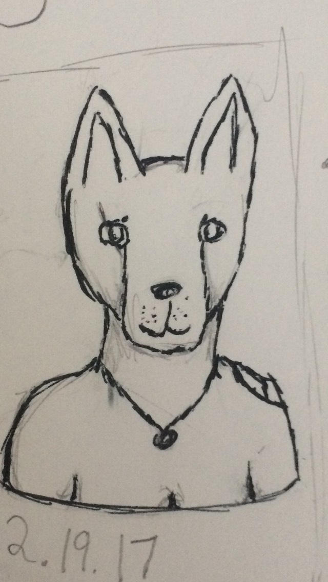 Female Wolf Anthro Sketch by Awkward-Approach on DeviantArt