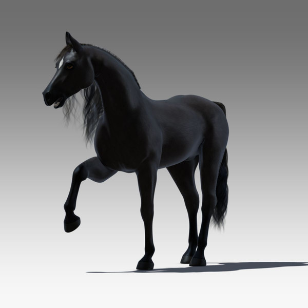 3D model rigged horse 4 by ApocalypseEquun on DeviantArt 3D model rigged horse 4 by ApocalypseEquun on DeviantArt