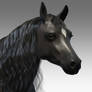 3D model rigged horse face 4