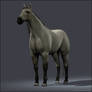 3D model rigged horse =improving= 2