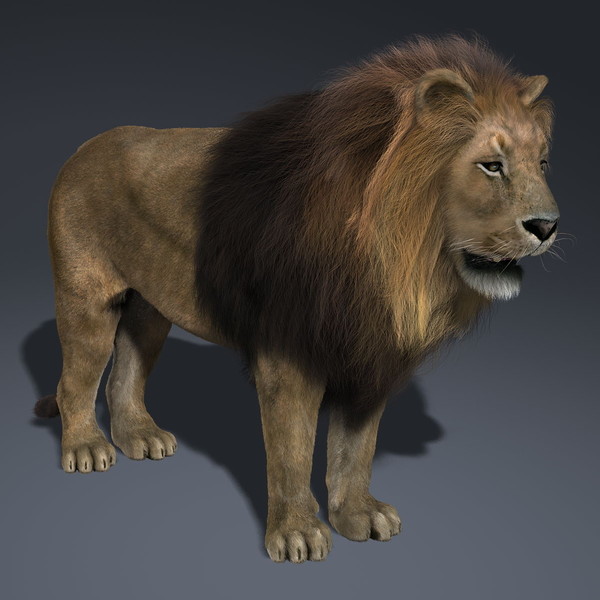 3d Model Lion Realistic By Apocalypseequun On Deviantart 3d Model Lion Realistic By Apocalypseequun On Deviantart