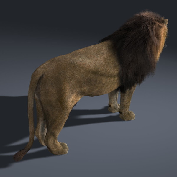 3d Model Lion Realistic Back Side View By Apocalypseequun On Deviantart 3d Model Lion Realistic Back Side View By Apocalypseequun On Deviantart