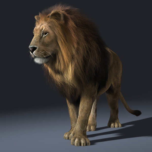 3d Model Lion Realistic 2 By Apocalypseequun On Deviantart 3d Model Lion Realistic 2 By Apocalypseequun On Deviantart