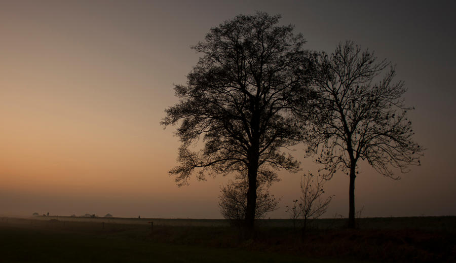 foggy evening