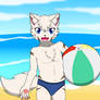 Shiro in beach