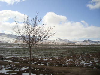 North East of Iran. Around the city Ghoochan