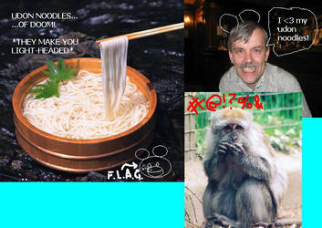 Udon Noodles...for pandapawz