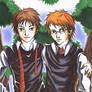 Oliver Wood and Percy Weasley