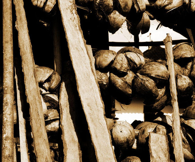 Coconut rack by deadpansnark on DeviantArt